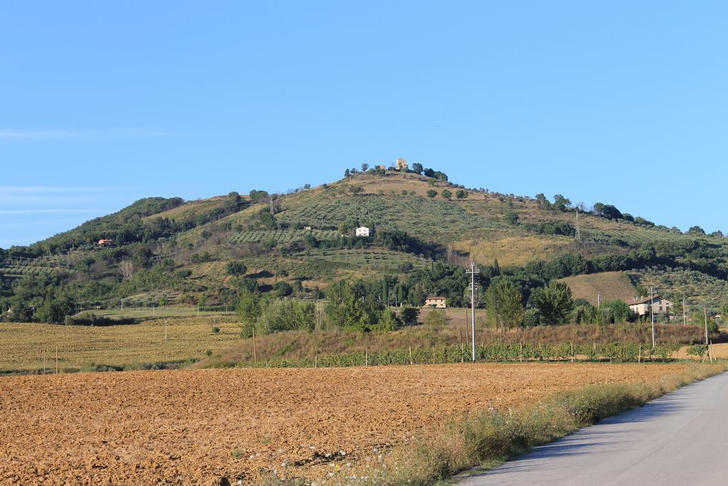 Fattoria Di Rigone Villa Coltavolino Værelse billede