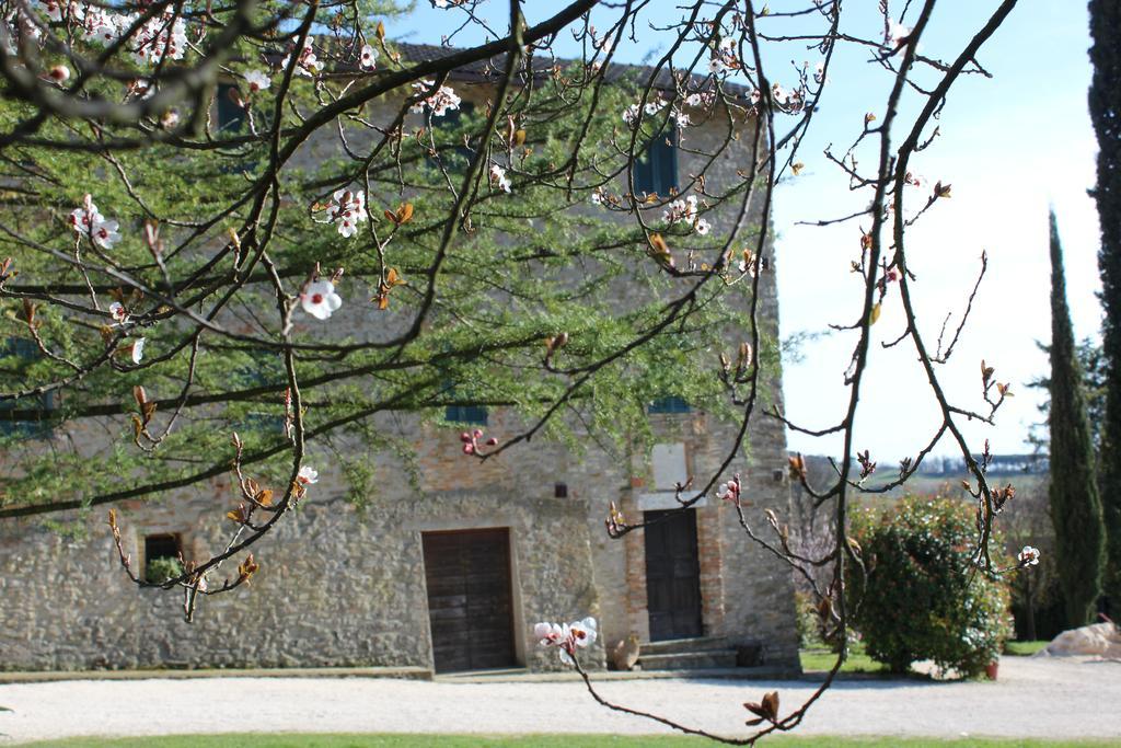 Fattoria Di Rigone Villa Coltavolino Eksteriør billede