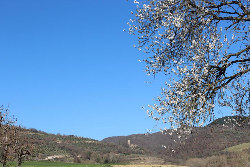 Fattoria Di Rigone Villa Coltavolino Eksteriør billede