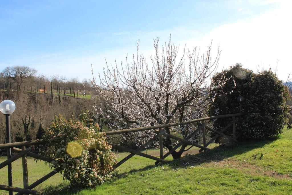 Fattoria Di Rigone Villa Coltavolino Eksteriør billede