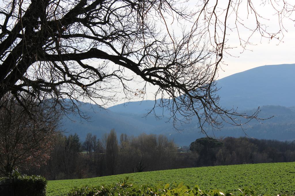 Fattoria Di Rigone Villa Coltavolino Eksteriør billede