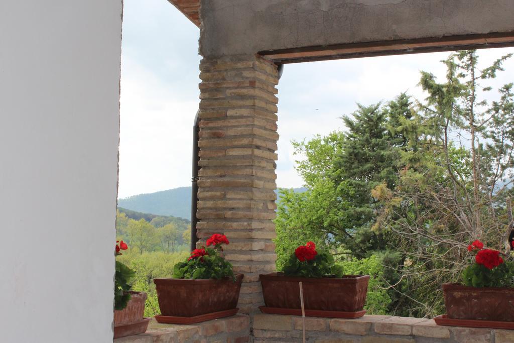 Fattoria Di Rigone Villa Coltavolino Eksteriør billede