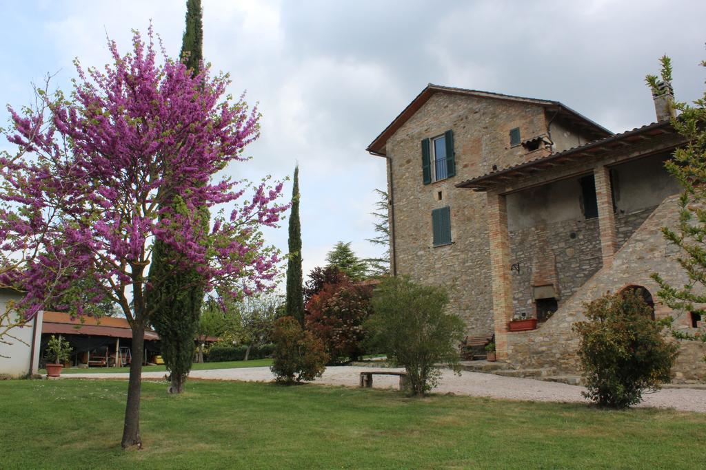 Fattoria Di Rigone Villa Coltavolino Eksteriør billede