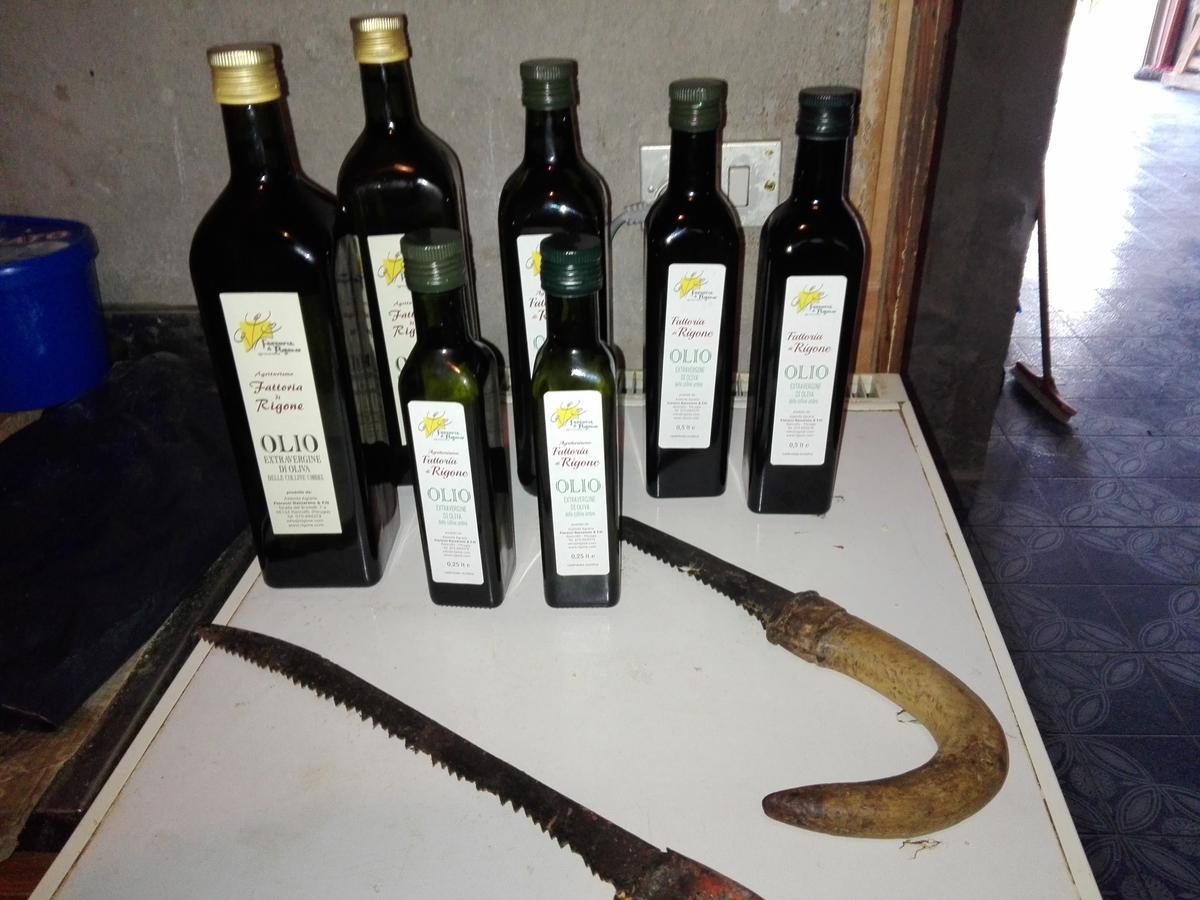 Fattoria Di Rigone Villa Coltavolino Eksteriør billede